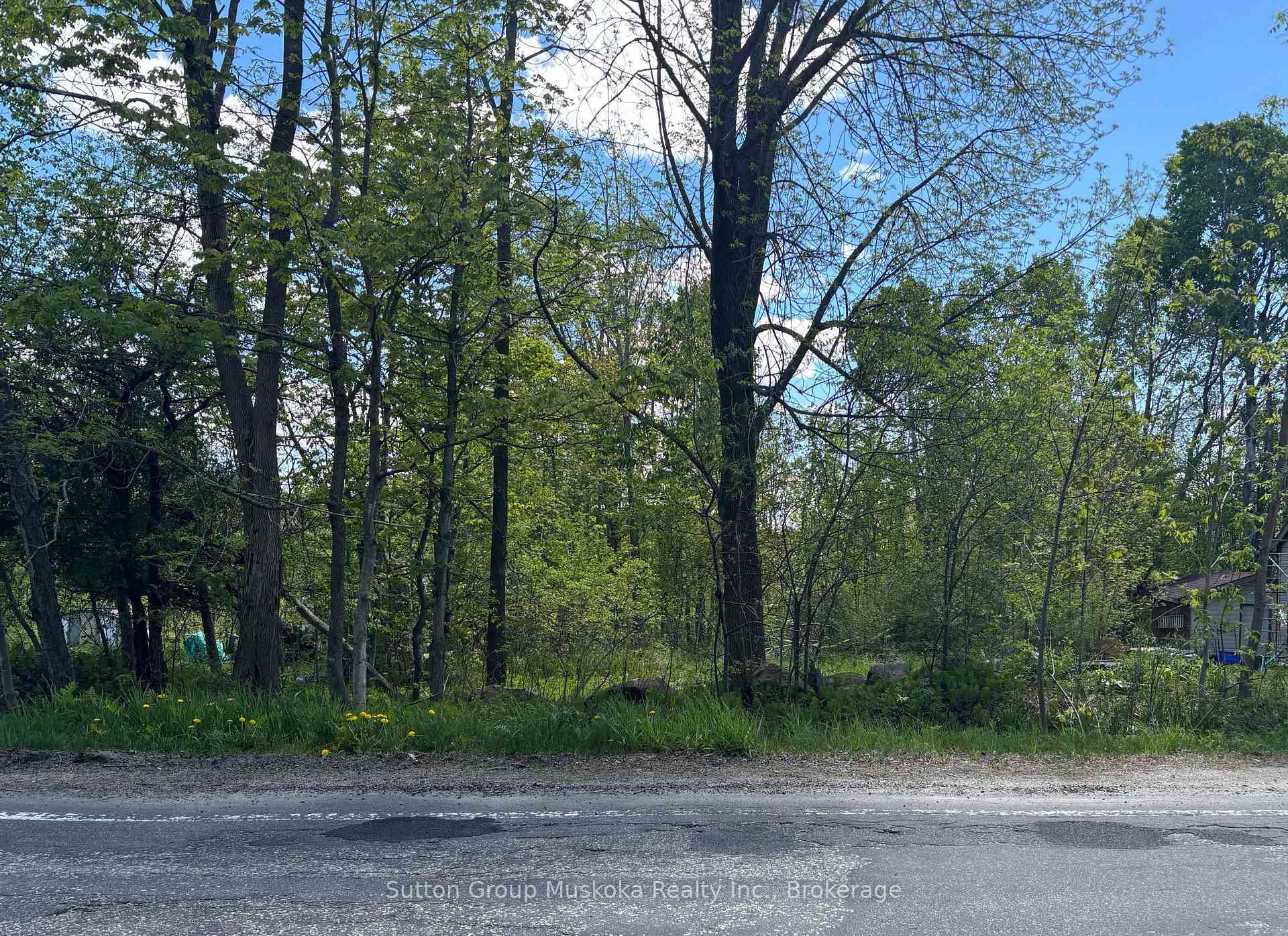359 Town Line Road W, Huntsville — photo 2 of 5