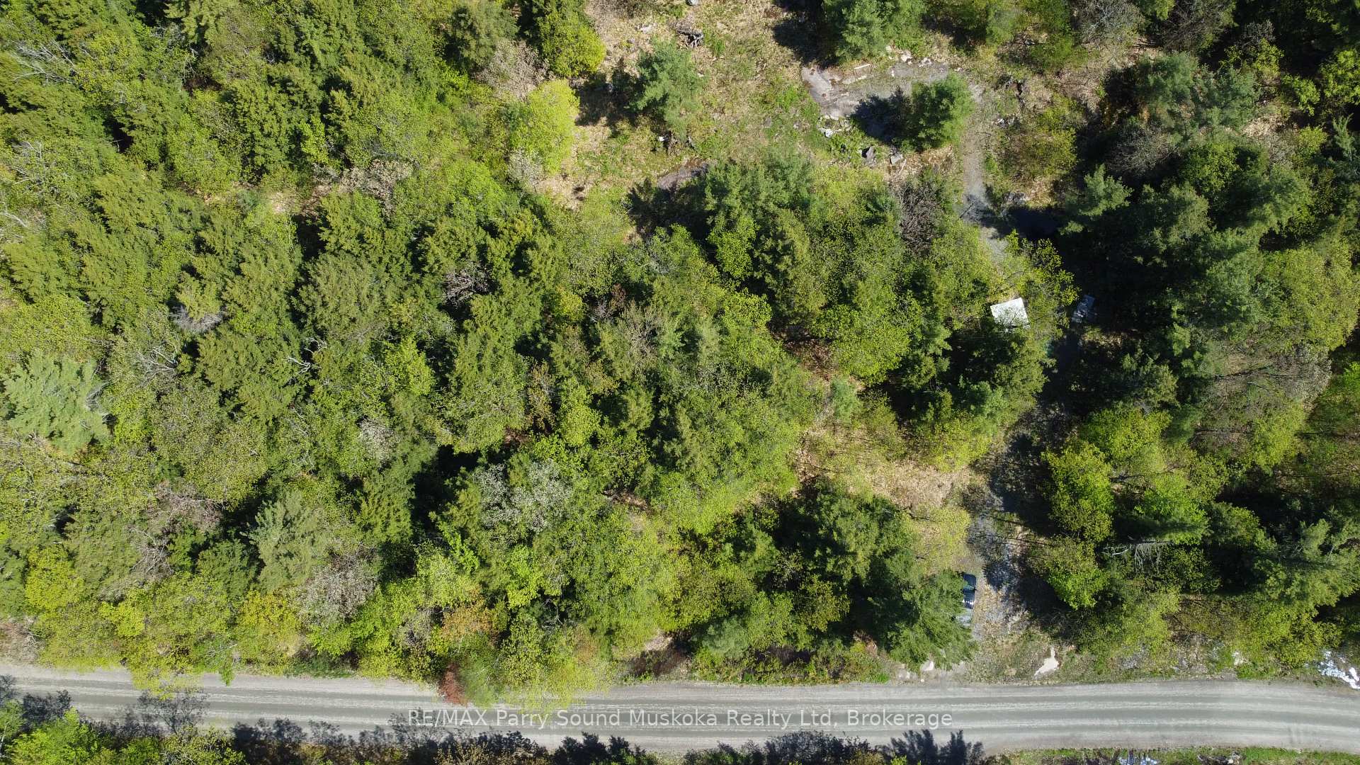 175 North Sandy Plains Road, Seguin — photo 3 of 5
