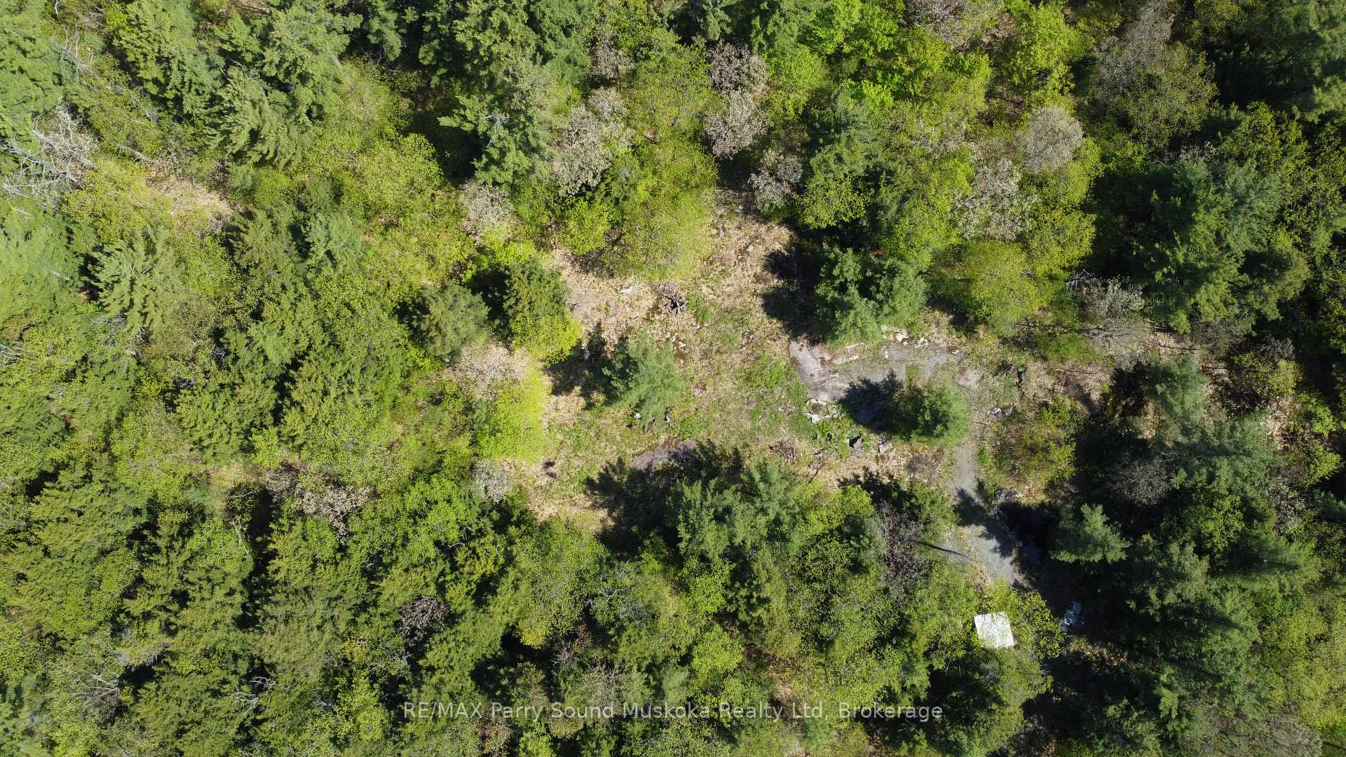 175 North Sandy Plains Road, Seguin — photo 4 of 5
