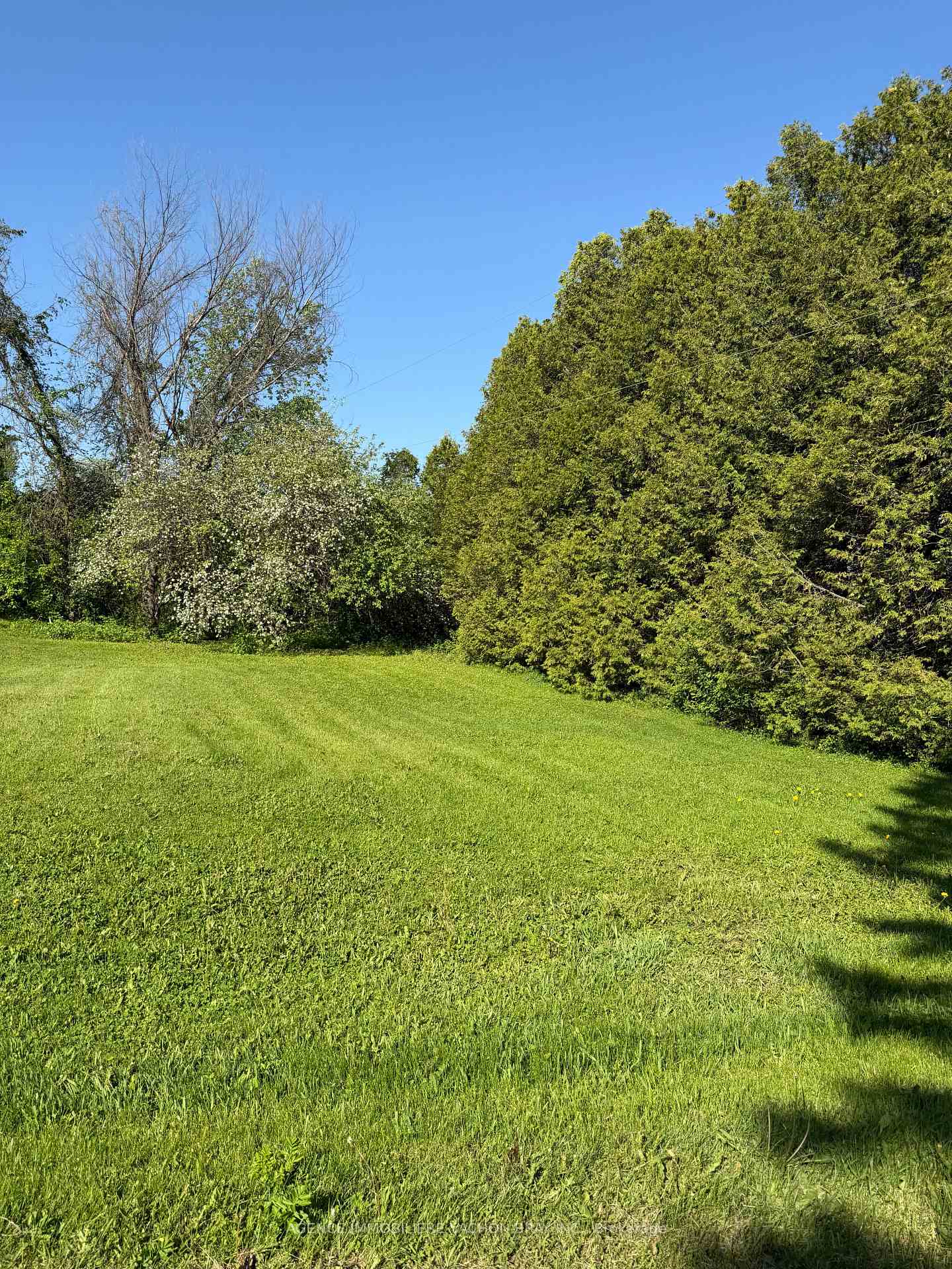 21231 Conc 6 Road, South Glengarry — photo 2 of 5