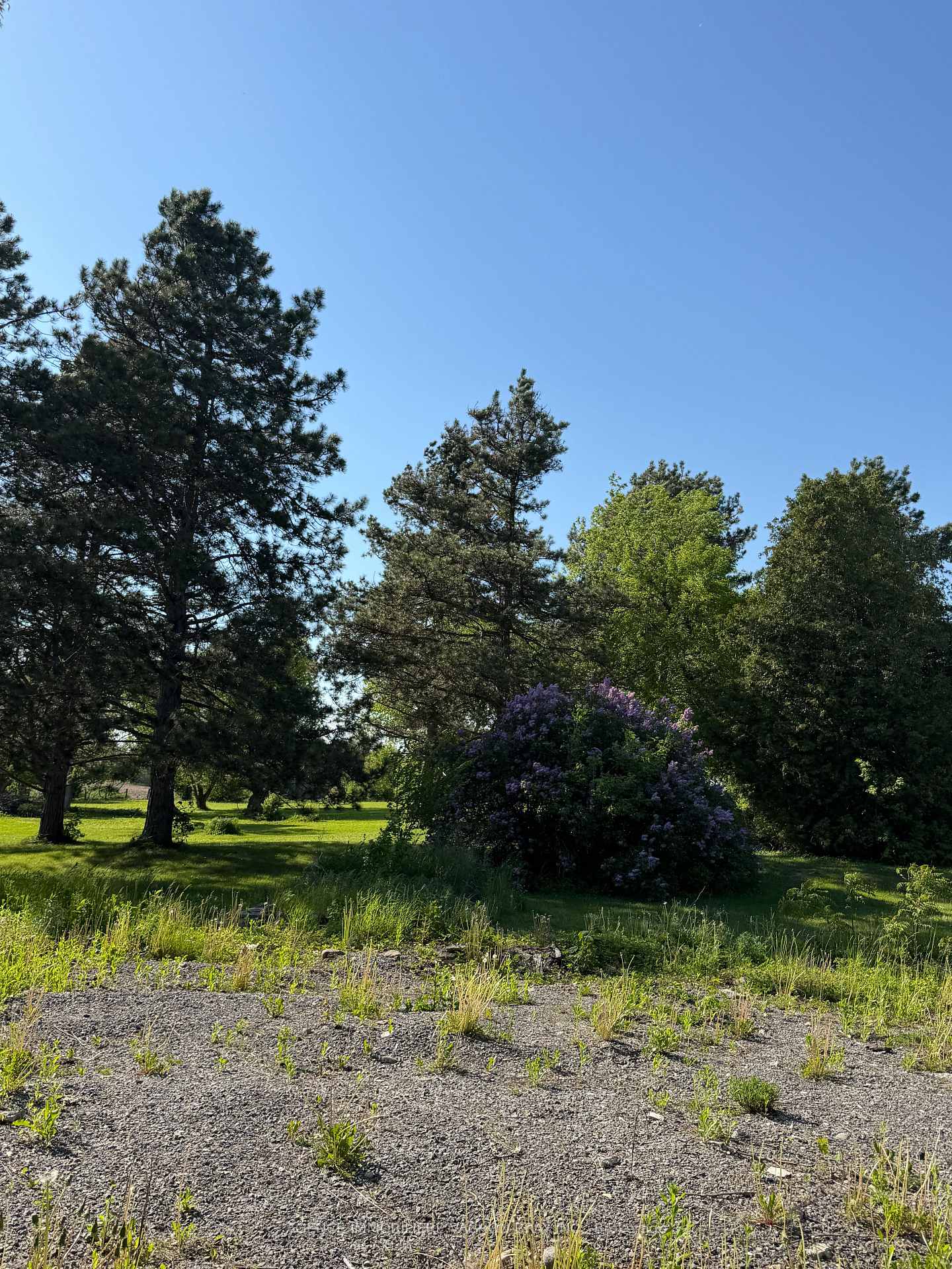 21231 Conc 6 Road, South Glengarry — photo 4 of 5
