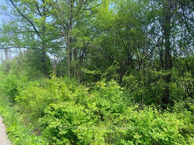 V/L CENTRALIA Avenue N, Fort Erie — photo 2 of 4