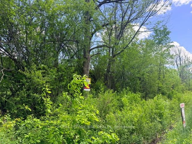 V/L CENTRALIA Avenue N, Fort Erie — photo 4 of 4