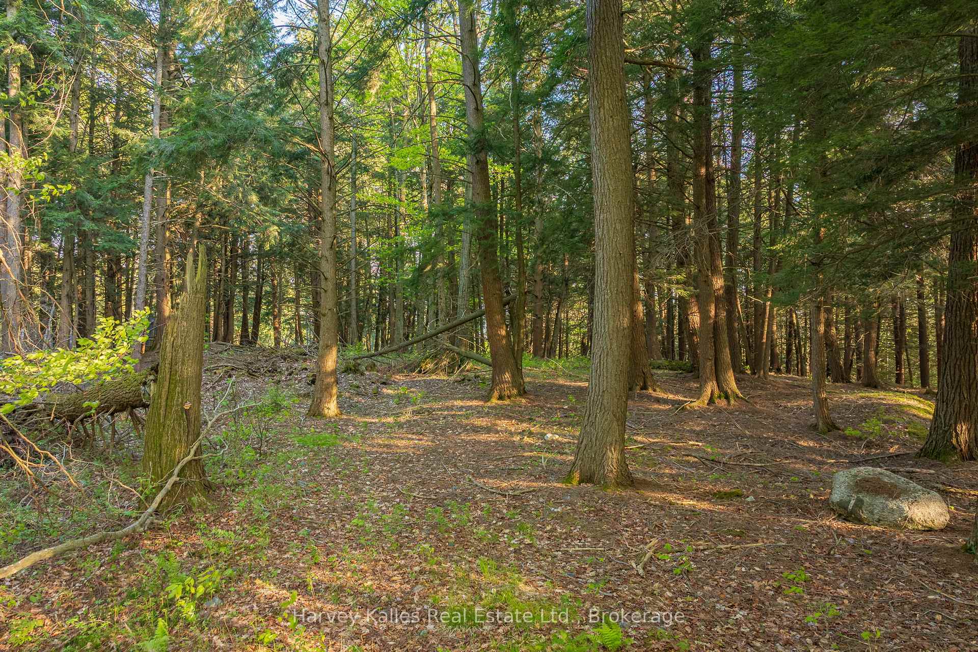 38 Gryffin Bluffs Lane Lot #8, Huntsville — photo 3 of 5