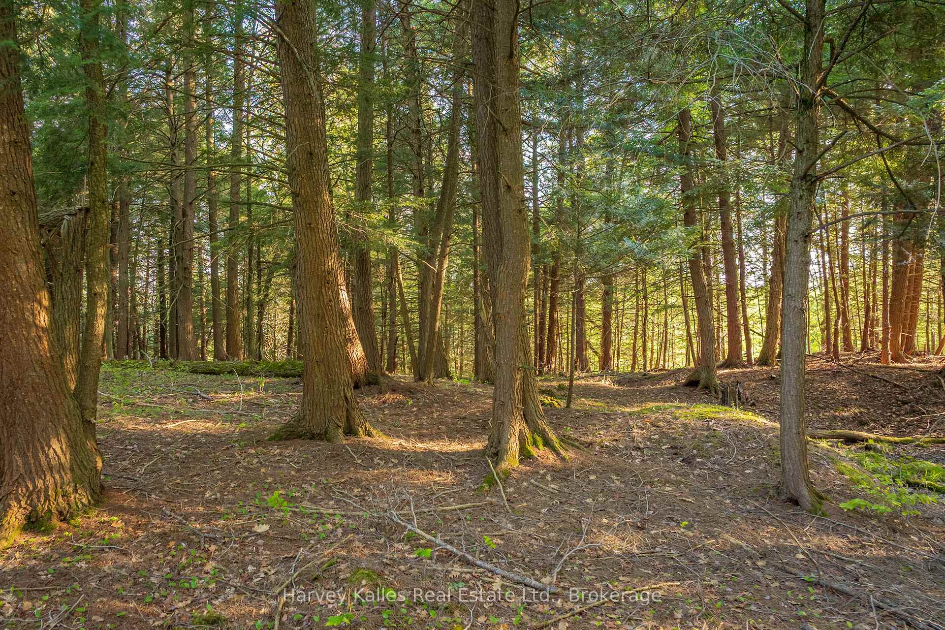 38 Gryffin Bluffs Lane Lot #8, Huntsville — photo 4 of 5