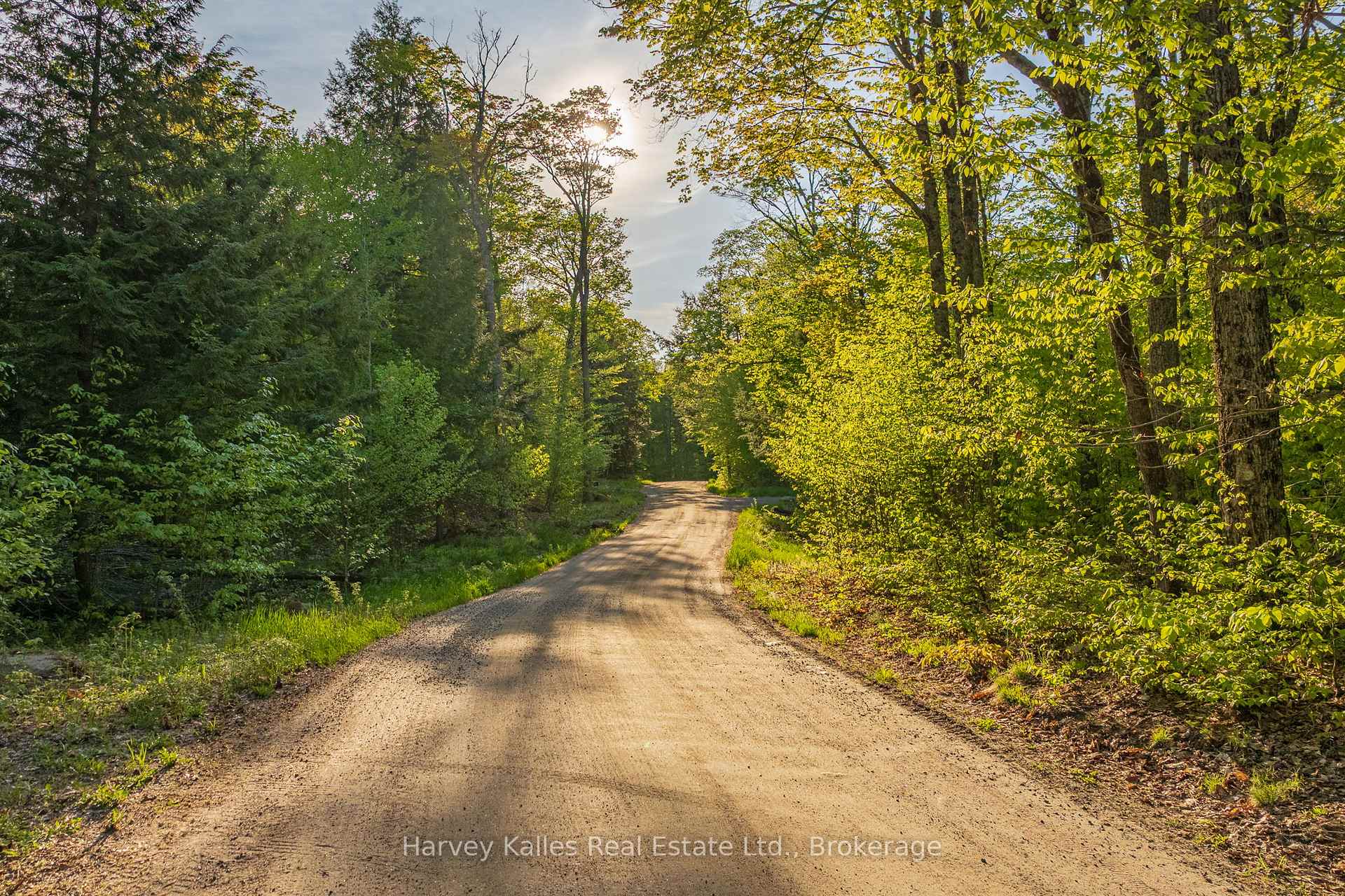 38 Gryffin Bluffs Lane Lot #8, Huntsville — photo 5 of 5
