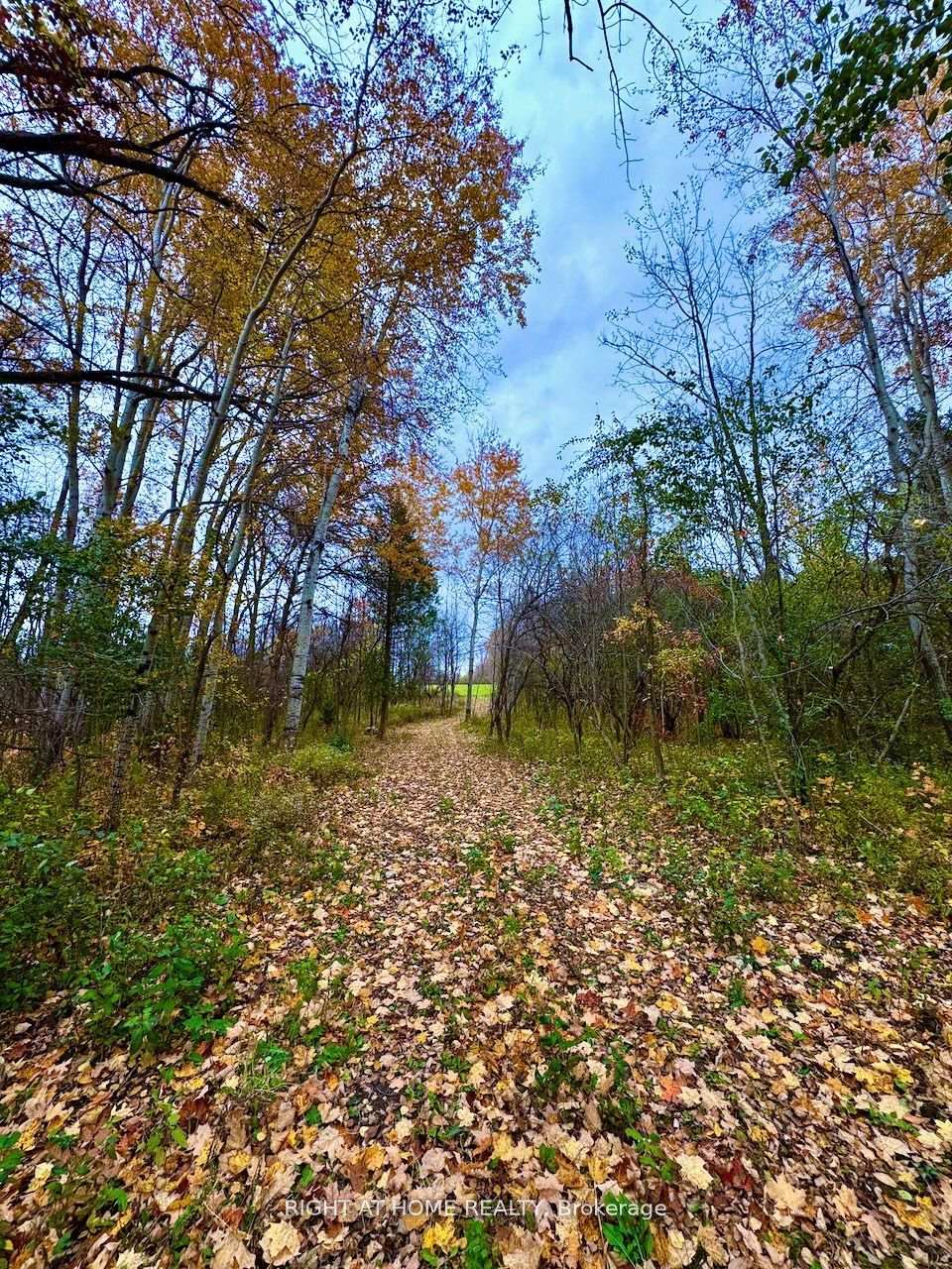 397641 10 CONCESSION N/A, Meaford — photo 5 of 5