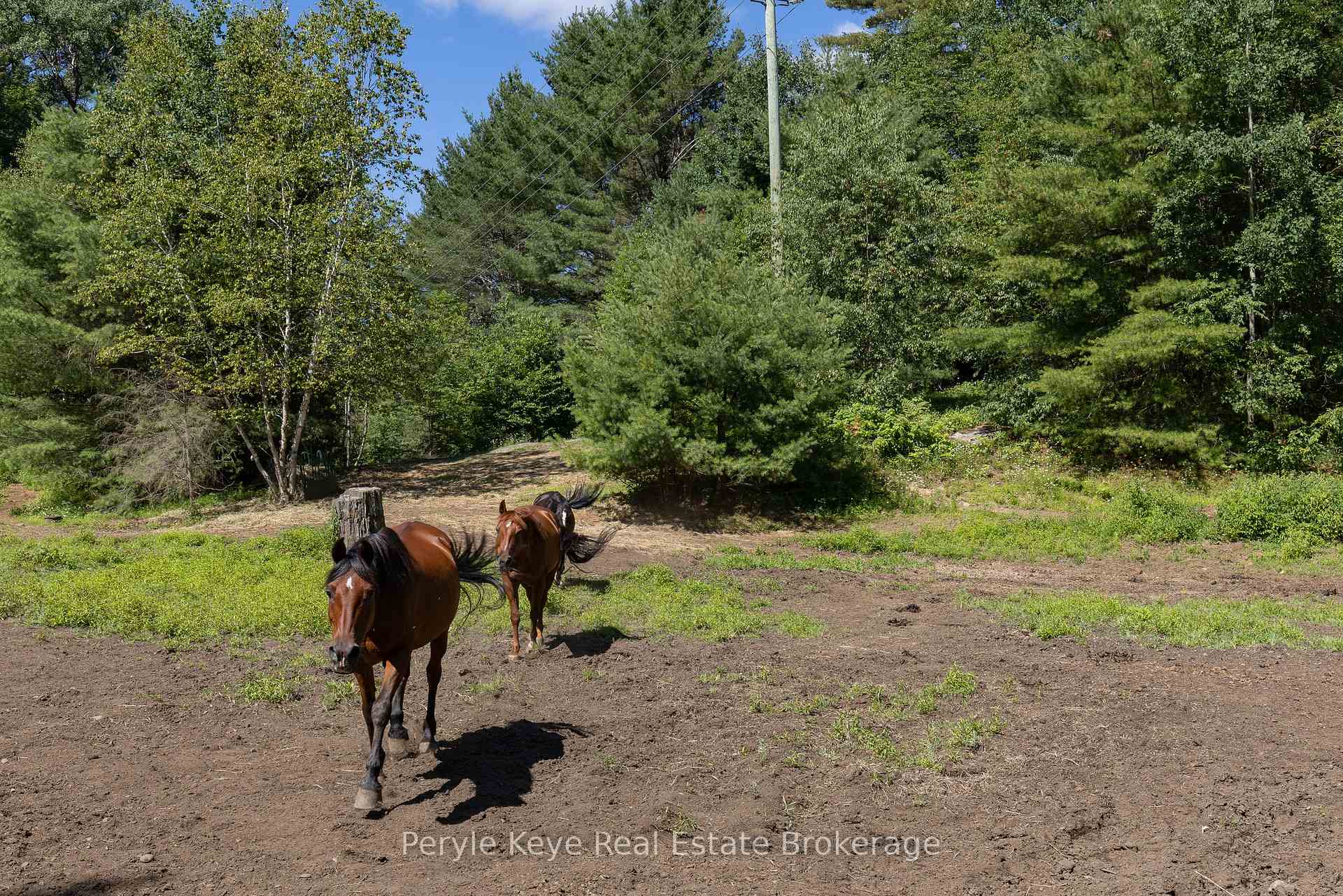 2322 Old Muskoka Road, Huntsville — photo 4 of 5