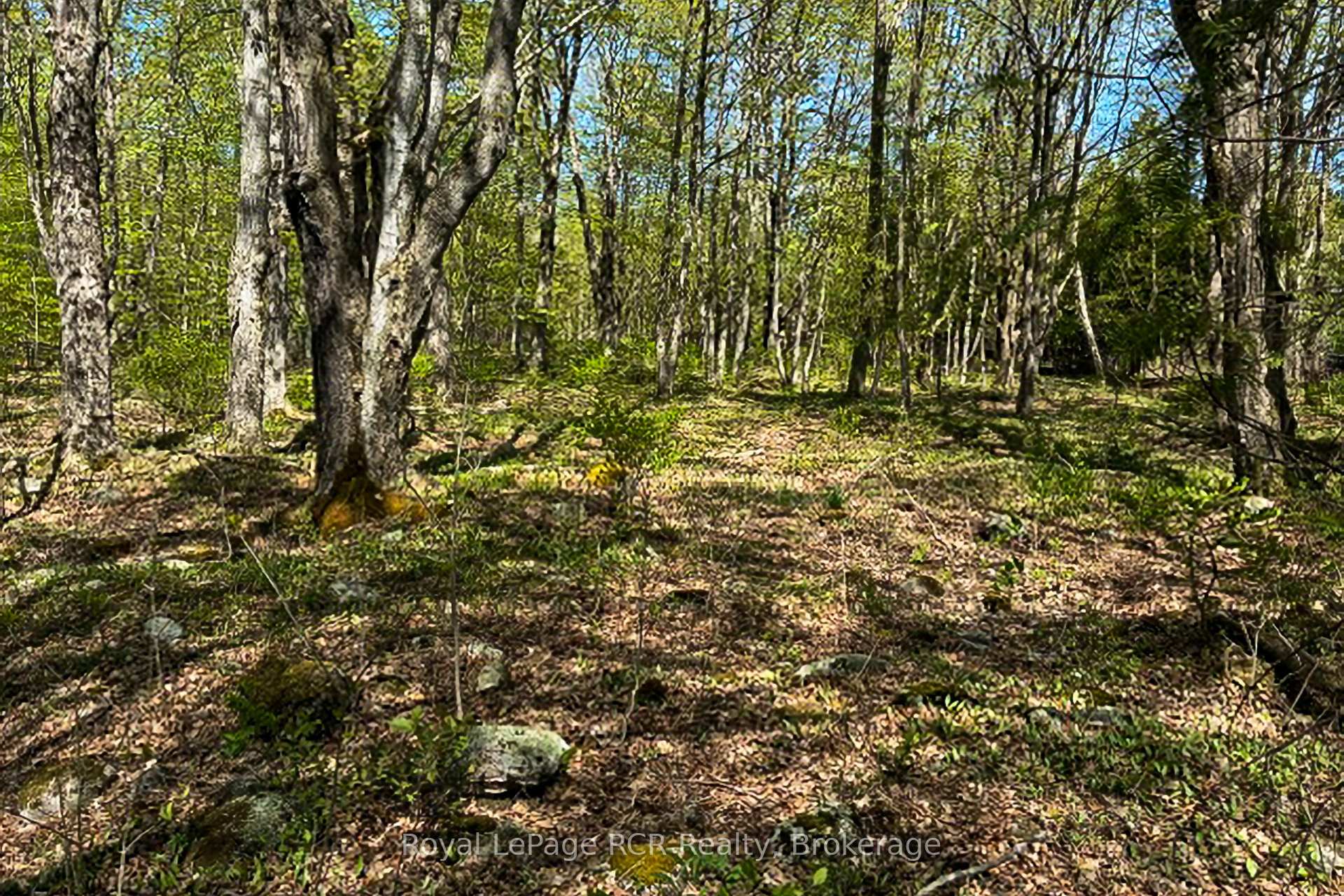 621 W WEST Road W, Northern Bruce Peninsula — photo 2 of 5