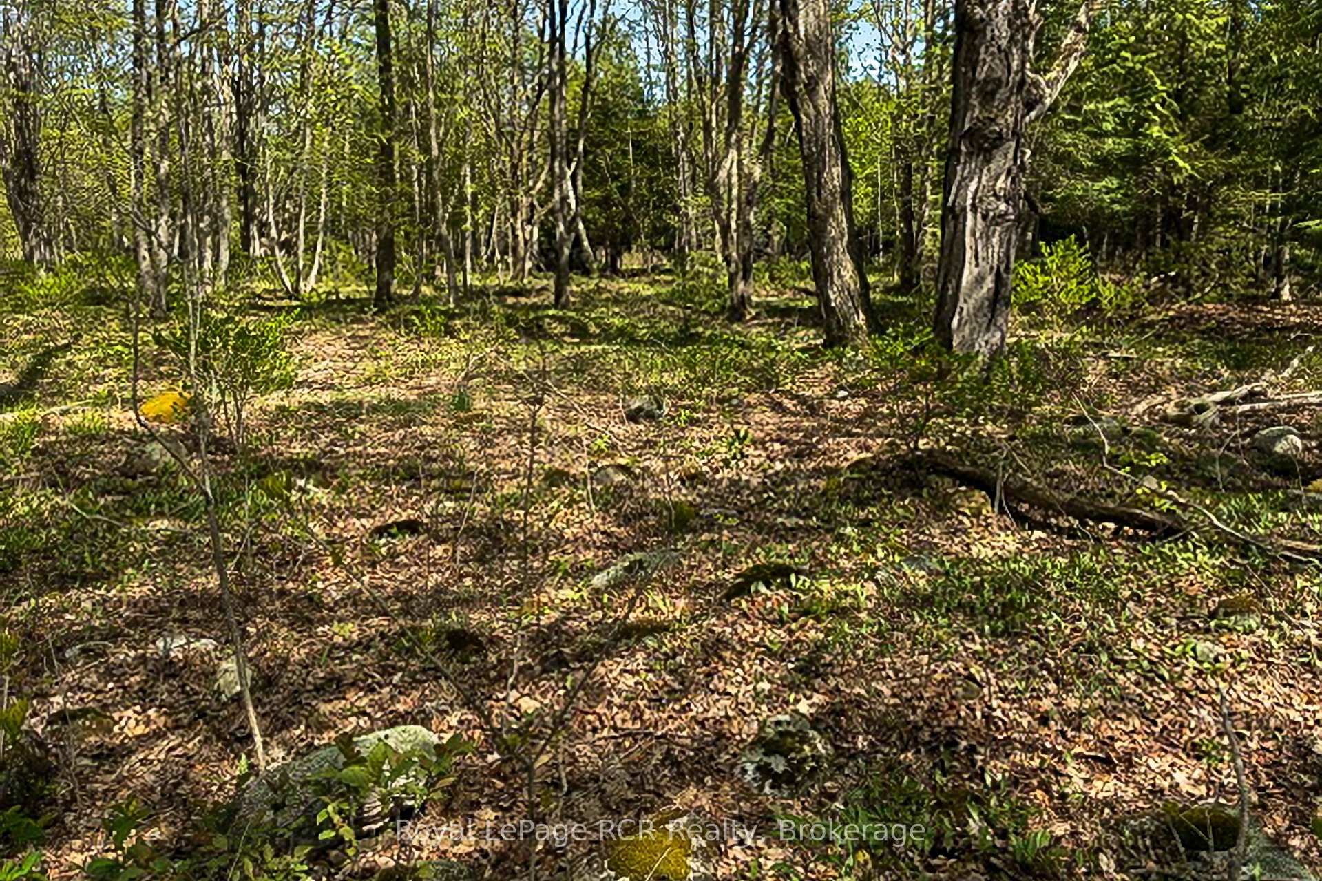 621 W WEST Road W, Northern Bruce Peninsula — photo 5 of 5