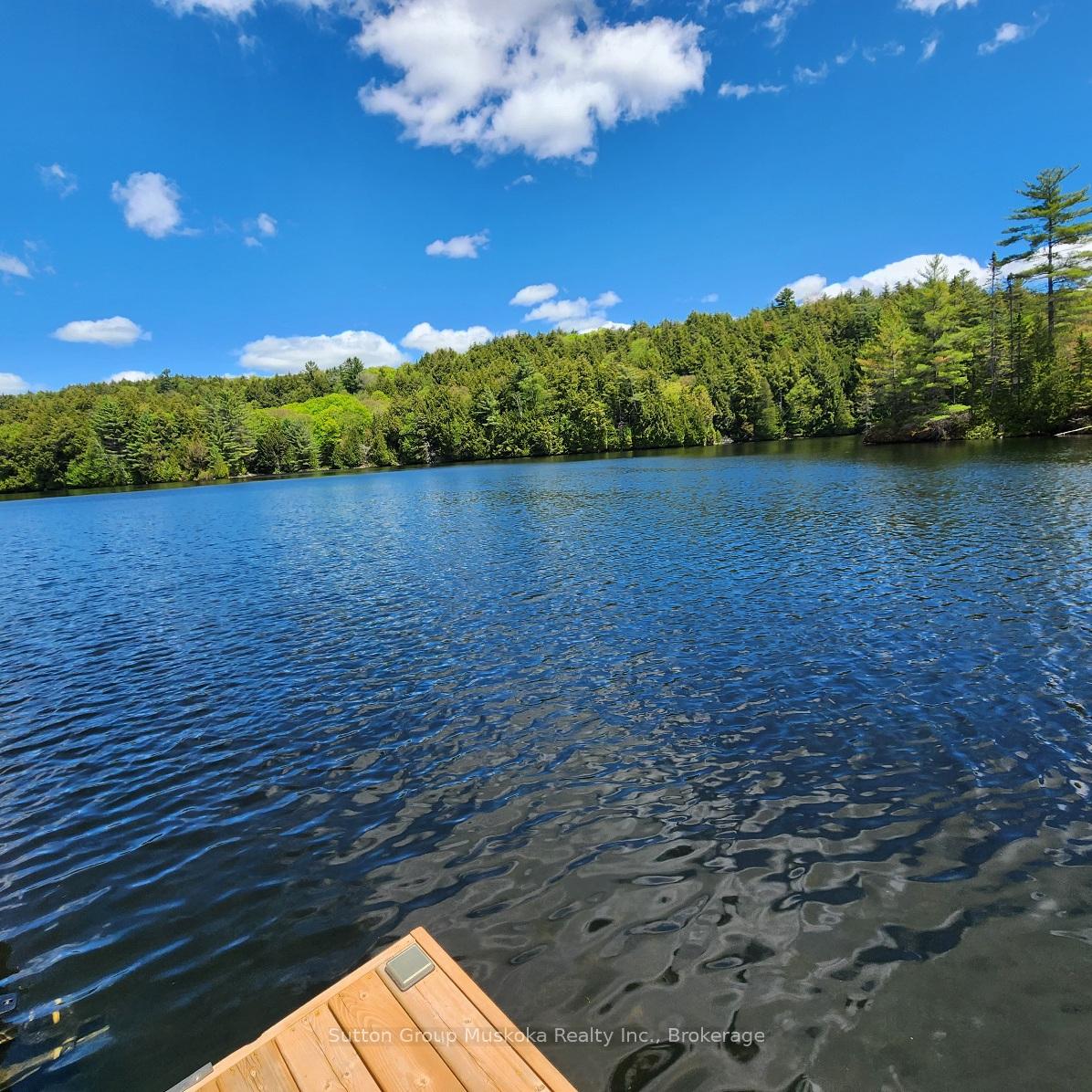 3149 Limberlost Road, Lake of Bays — photo 2 of 5