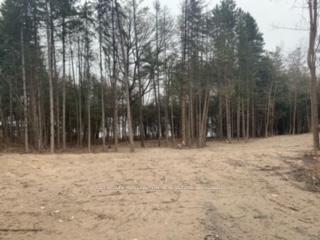 0 County Rd 42 N/A, Trent Hills — photo 3 of 5