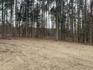 0 County Rd 42 N/A, Trent Hills — photo 4 of 5