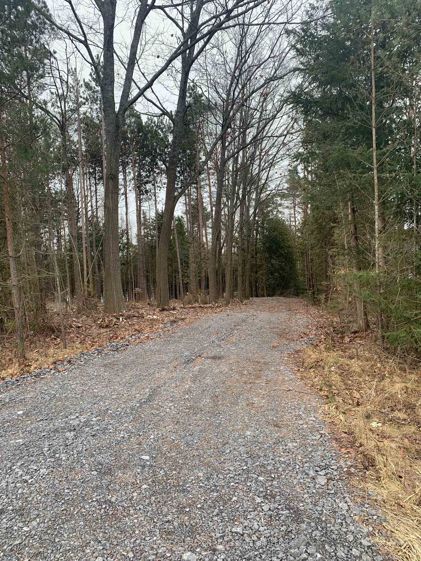 0 County Rd 42 N/A, Trent Hills — photo 5 of 5