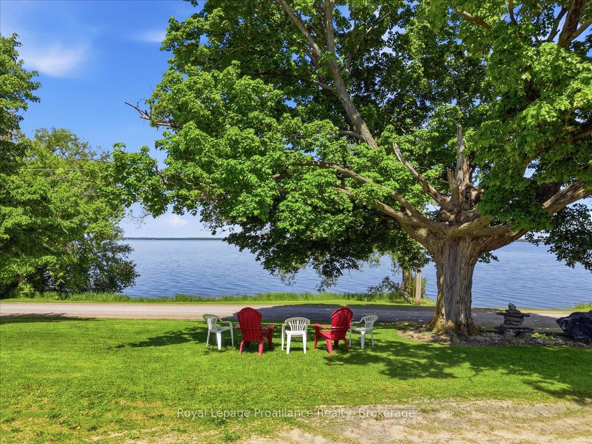 906 N Big Island Road, Prince Edward County — photo 2 of 5