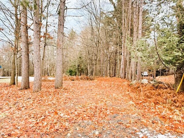 93 TOWN LINE Road W, Huntsville — photo 3 of 4