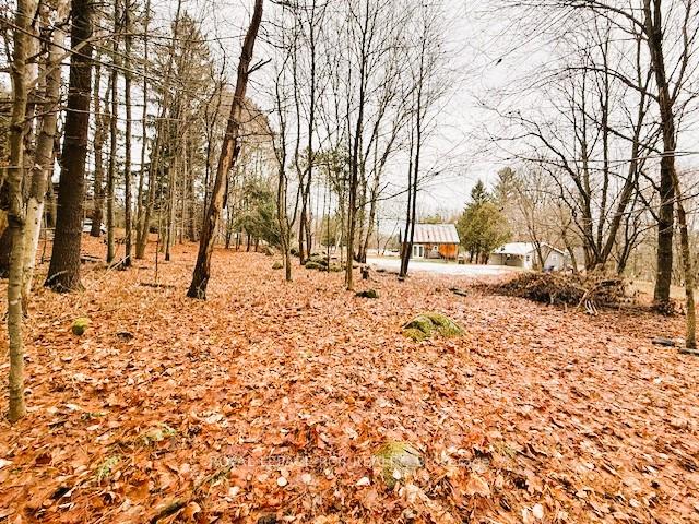 93 TOWN LINE Road W, Huntsville — photo 4 of 4