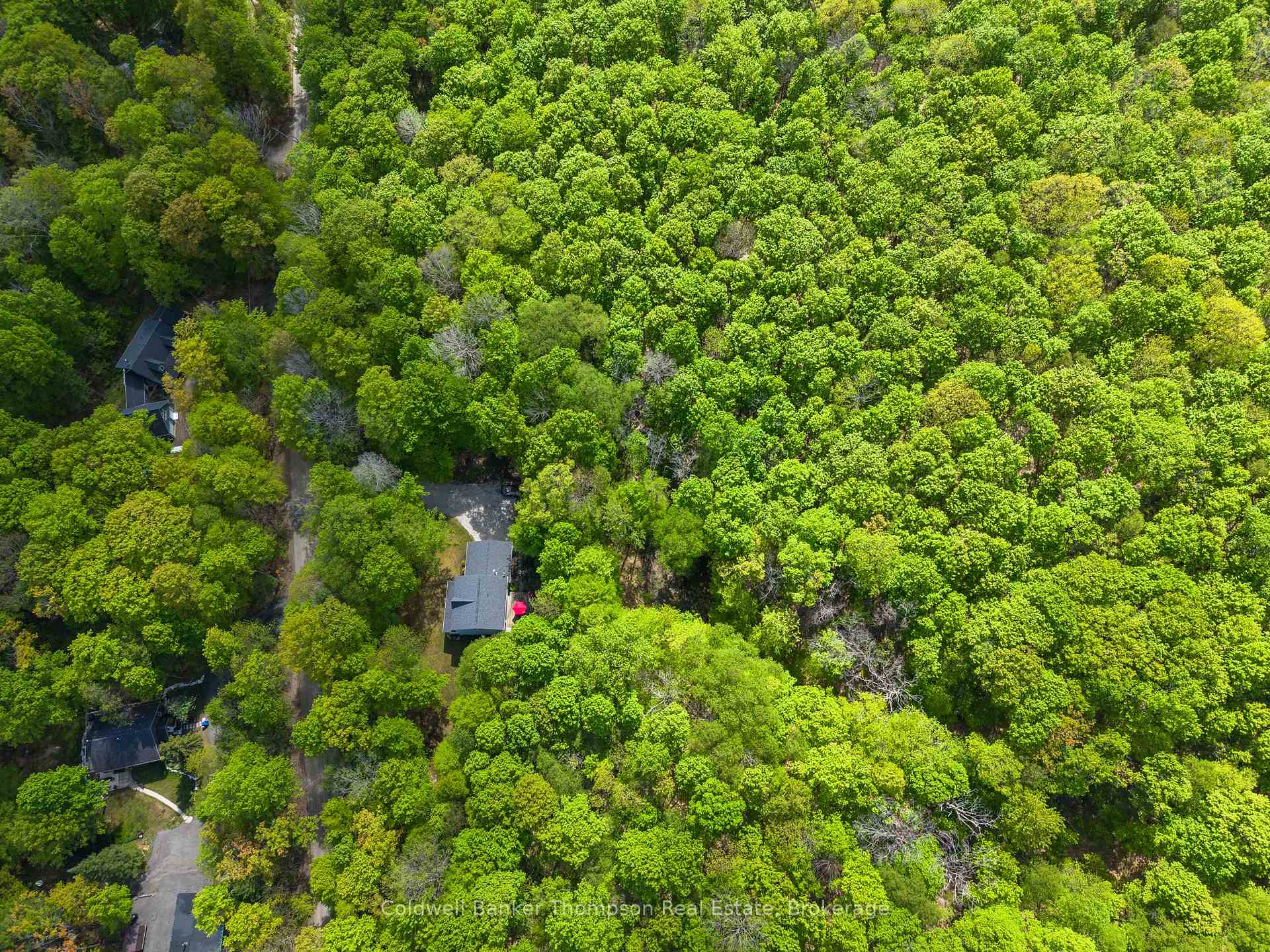 1067 Hillside Crescent, Lake of Bays — photo 2 of 5