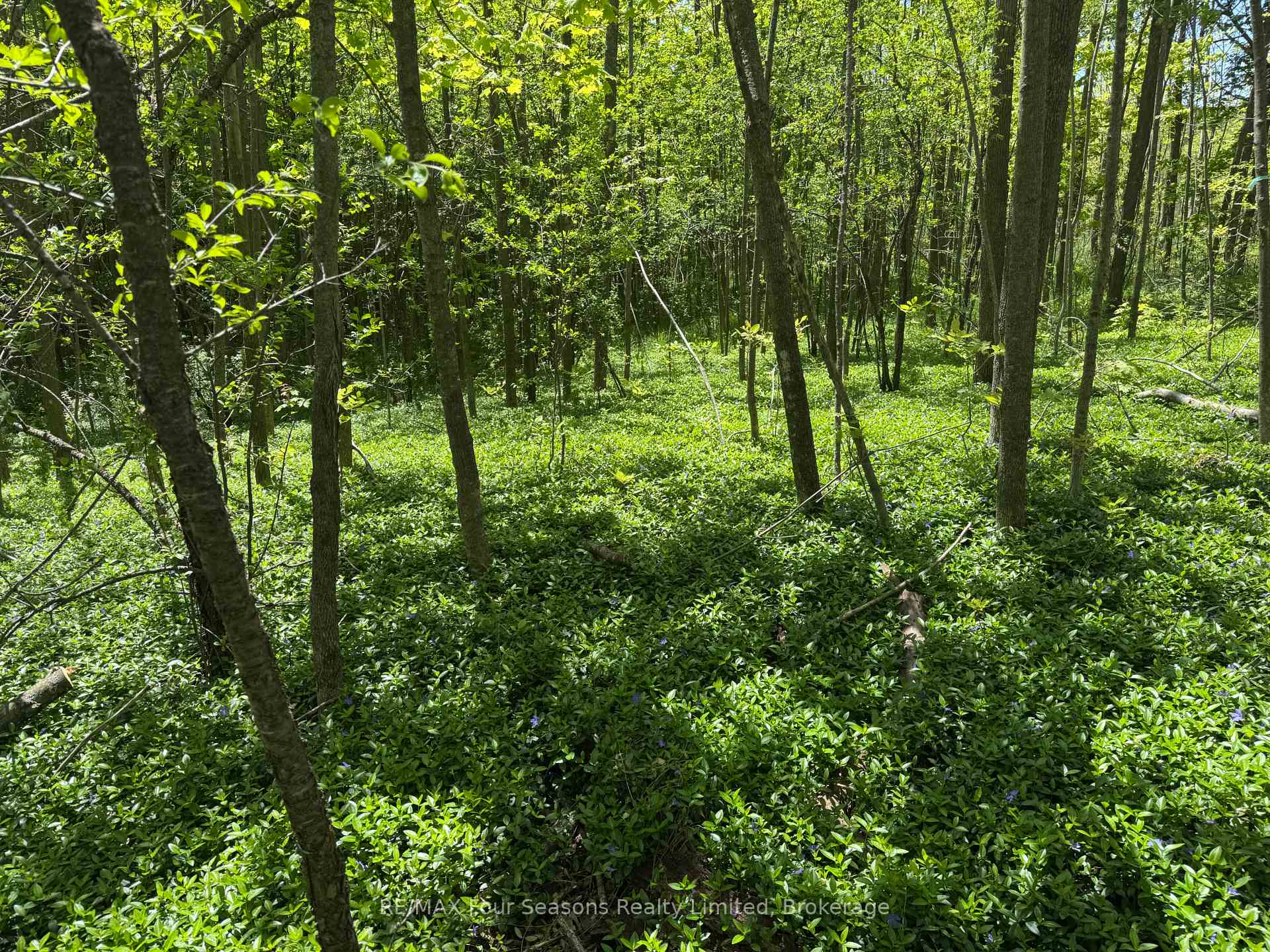 PT LT 12 Part 1 18 Grey Road, Meaford — photo 3 of 5