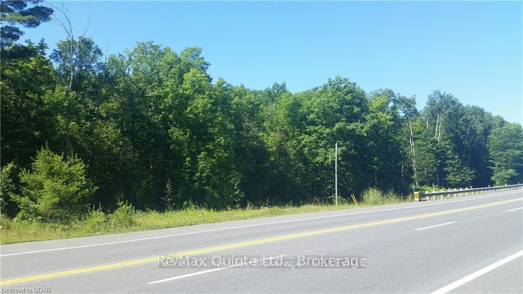 0 7 Highway, Madoc — photo 2 of 4