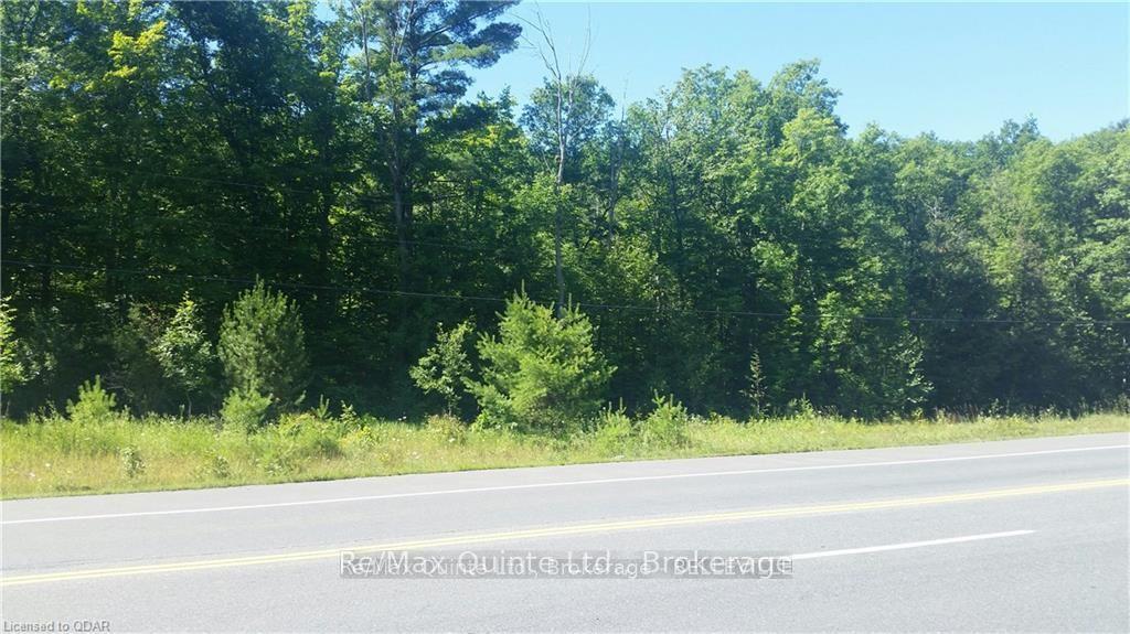 0 7 Highway, Madoc — photo 3 of 4