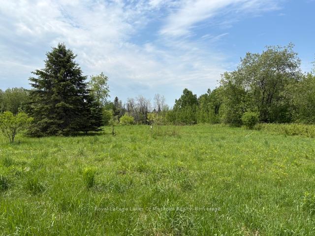 351 Ravenscliffe Road, Huntsville, ON P1H 1L6 — Huntsville, Ontario
