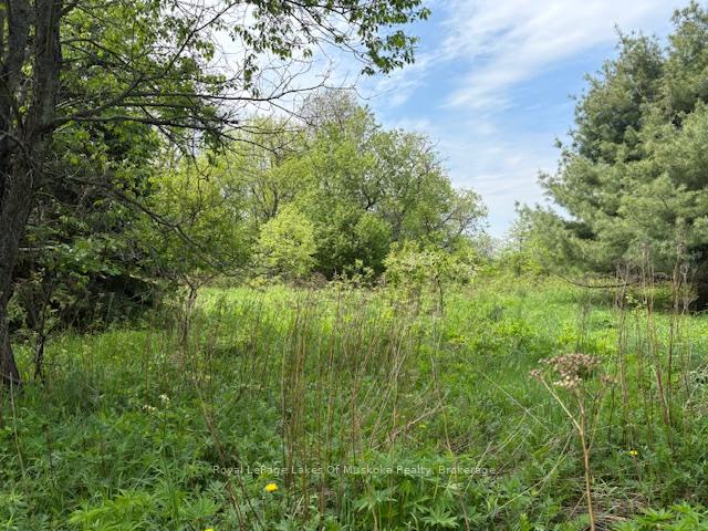351 Ravenscliffe Road, Huntsville — photo 4 of 5