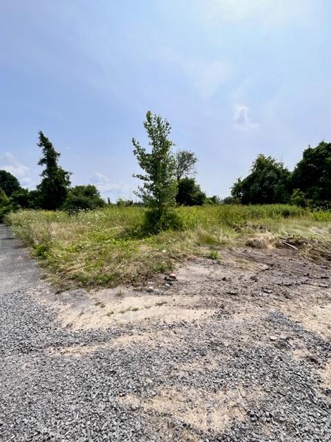3069 Parkedale Avenue, Brockville — photo 2 of 4