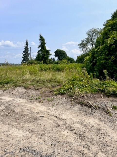 3069 Parkedale Avenue, Brockville — photo 3 of 4