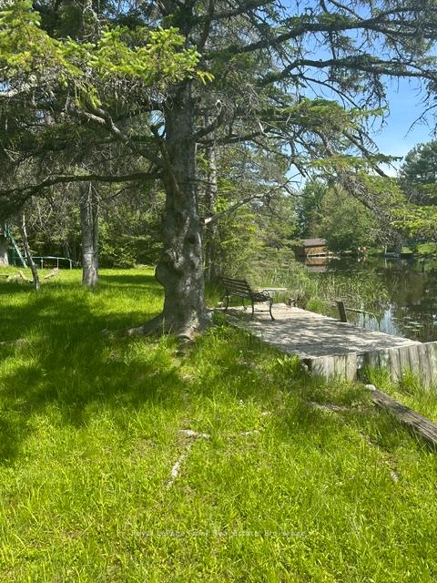 31 Fire Route 109 Route, Trent Lakes — photo 4 of 5