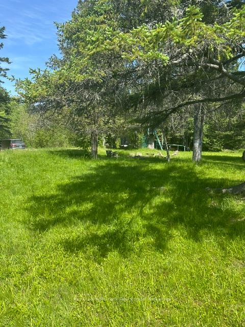 31 Fire Route 109 Route, Trent Lakes — photo 5 of 5