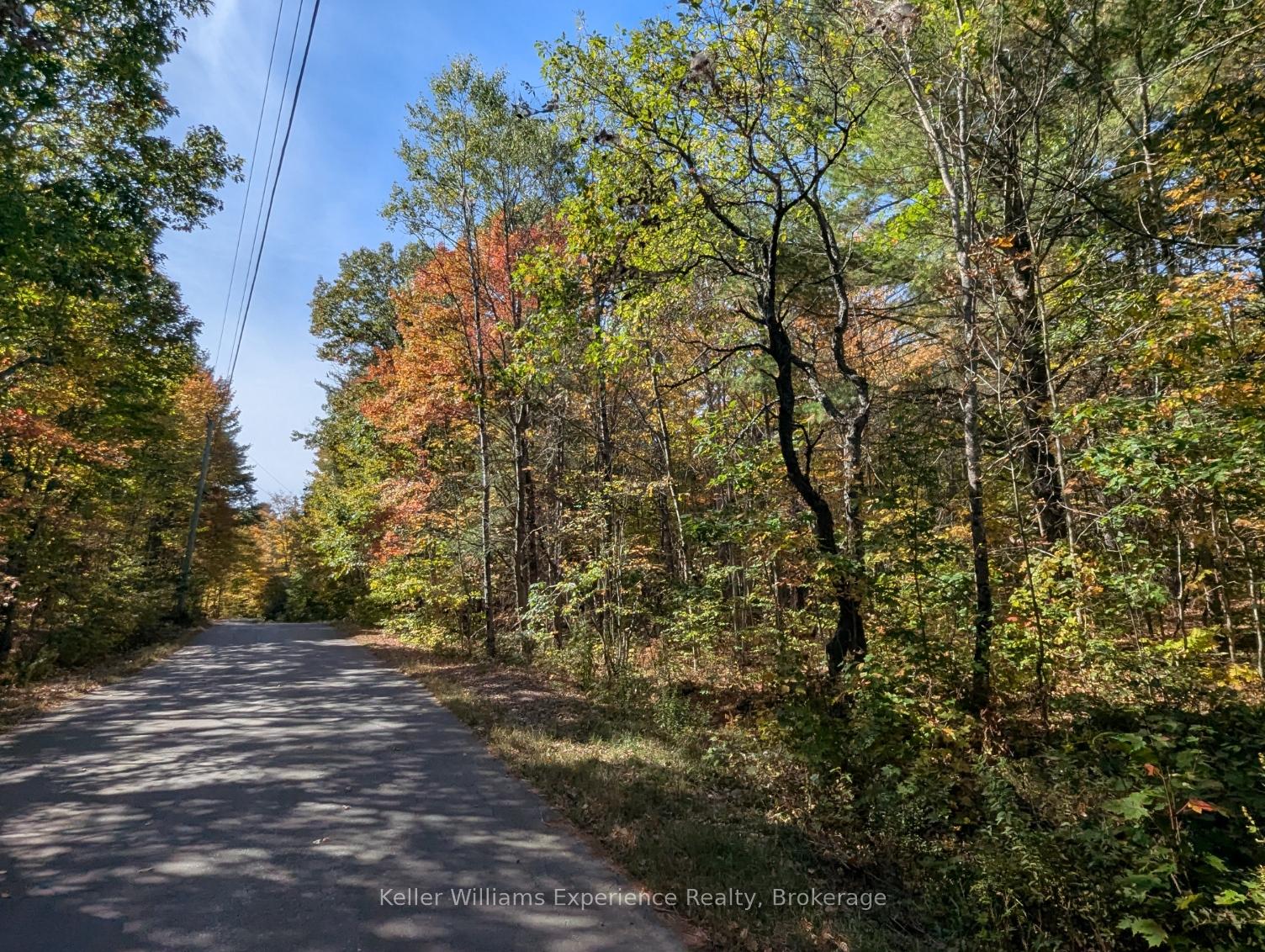 PL20 Langford Road, Lake of Bays — photo 2 of 5