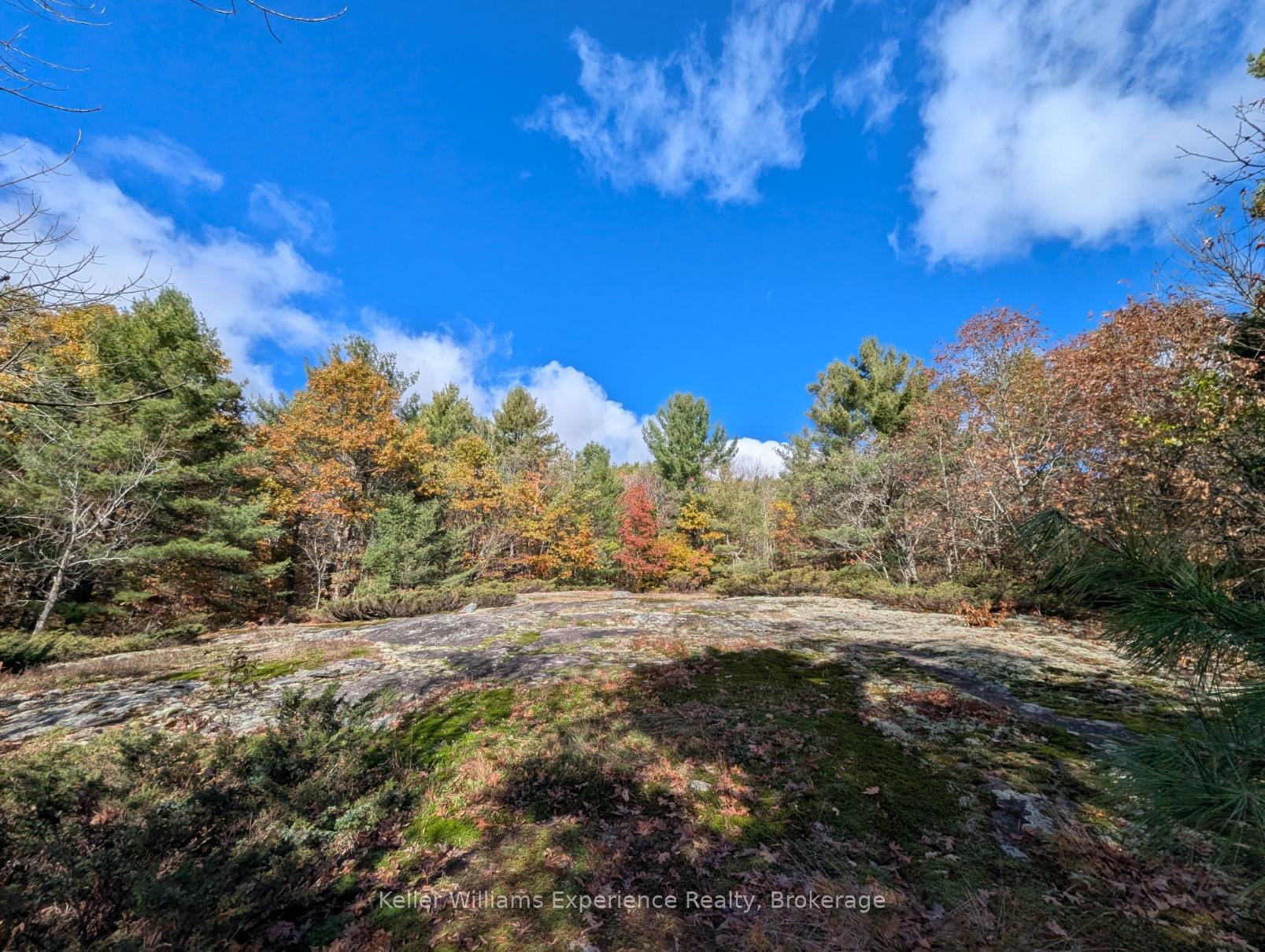 PL20 Langford Road, Lake of Bays — photo 3 of 5
