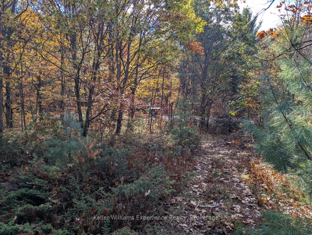 PL20 Langford Road, Lake of Bays — photo 4 of 5