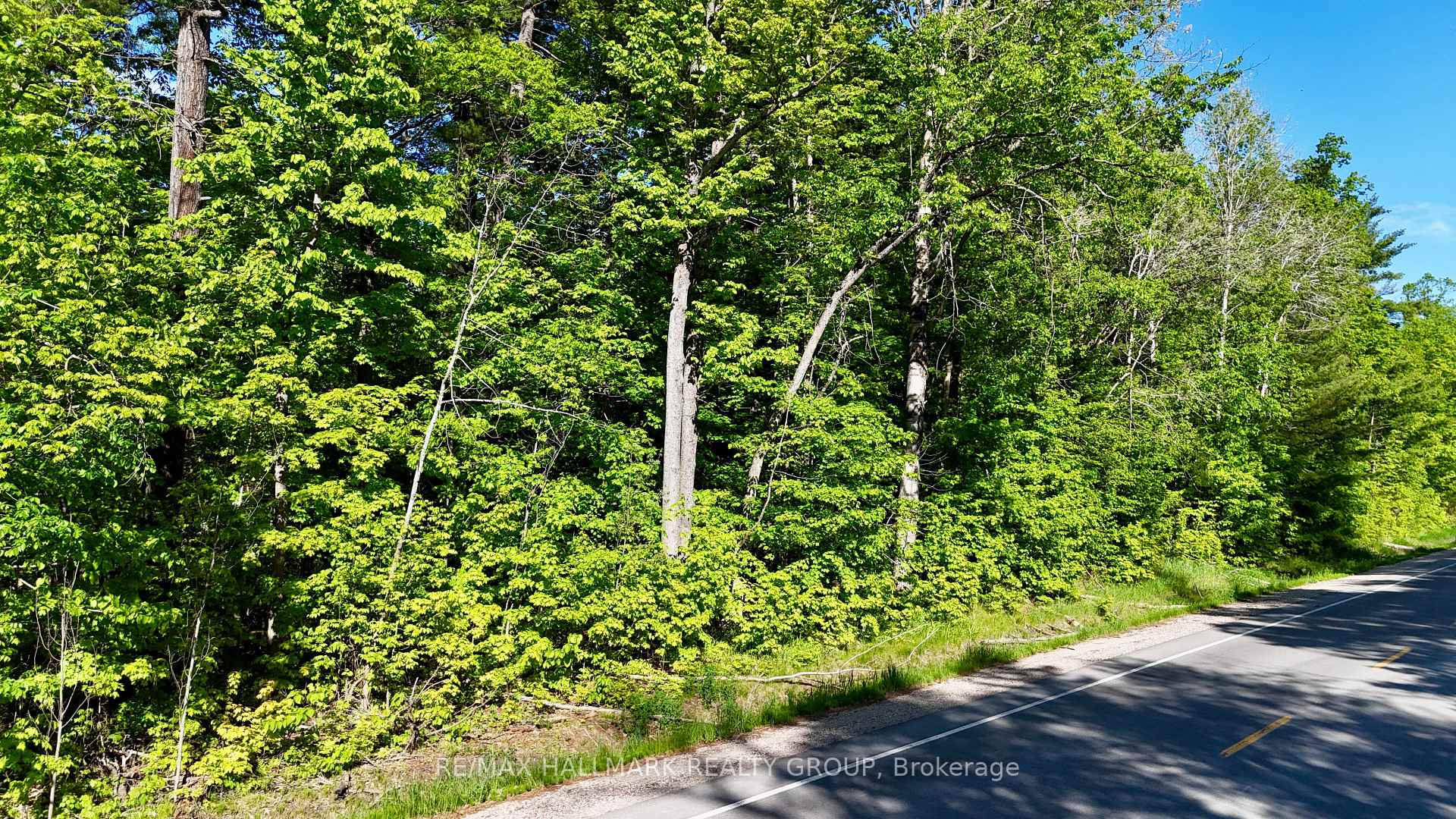 B-11 Miller Road, McNab/Braeside — photo 5 of 5