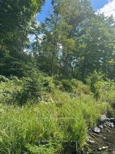 493 Buttermilk Lane, Marmora and Lake — photo 3 of 5
