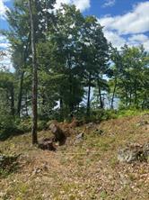 493 Buttermilk Lane, Marmora and Lake — photo 4 of 5