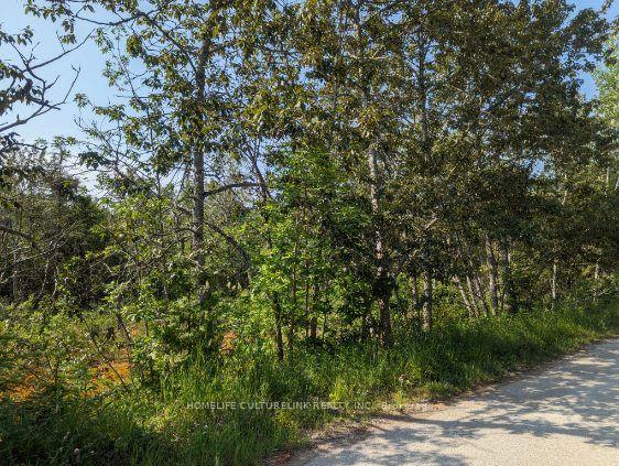 105 Corey Crescent, Northern Bruce Peninsula — photo 2 of 4