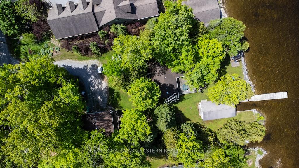 149 Fire Route 72 N/A, Trent Lakes — photo 3 of 5