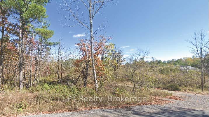 Pt Lot 8 Marble Point Road, Marmora and Lake — photo 3 of 4