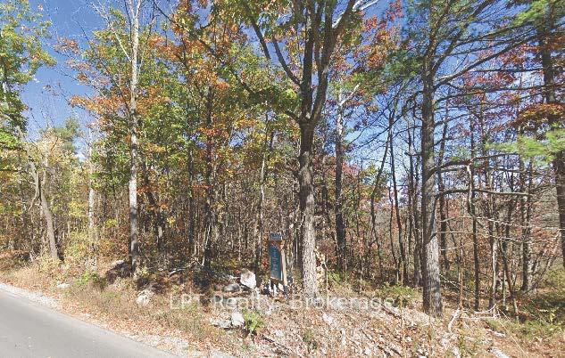 Pt Lot 8 Marble Point Road, Marmora and Lake — photo 4 of 4