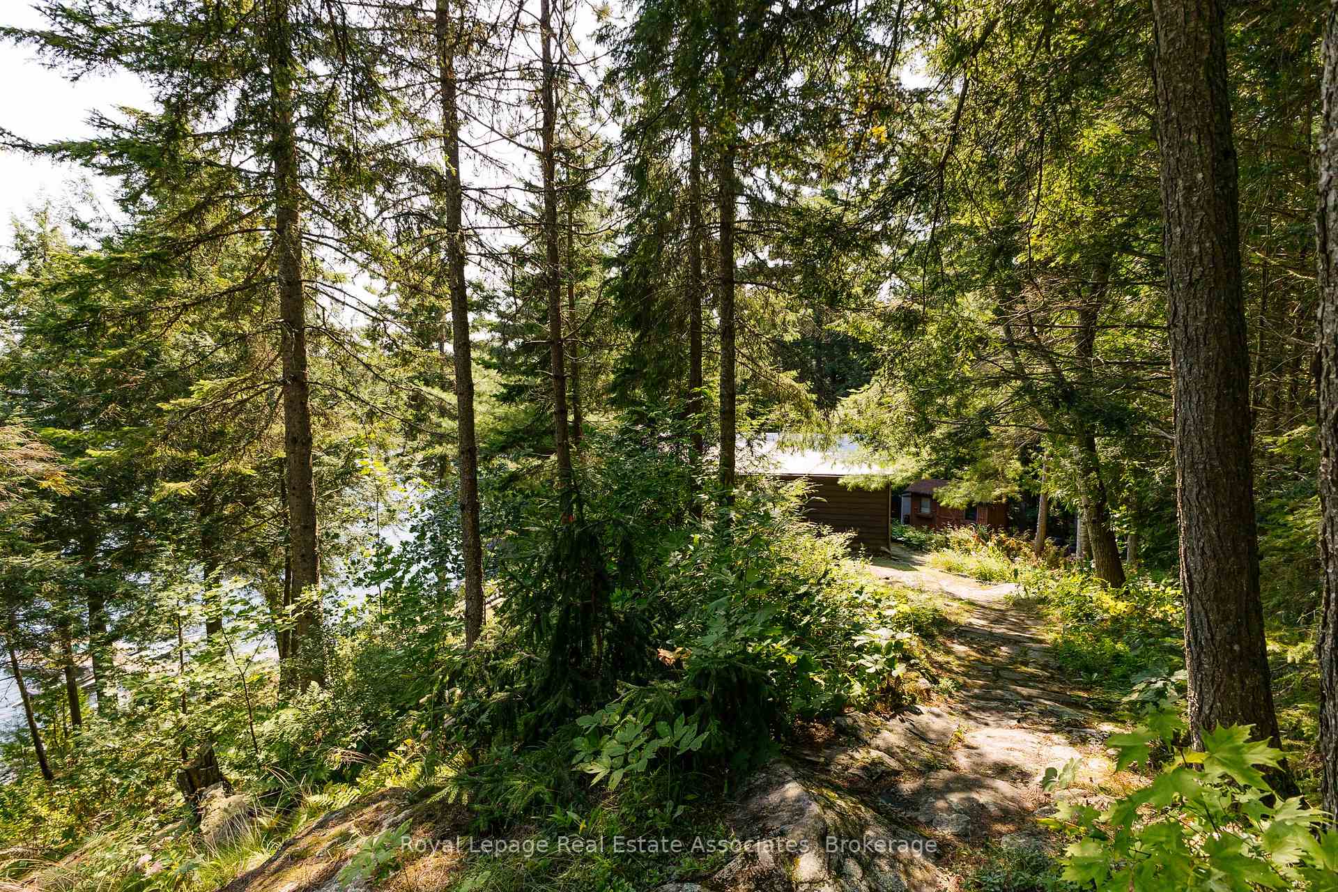 6415 Kennisis Lake Road, Dysart et al — photo 5 of 5