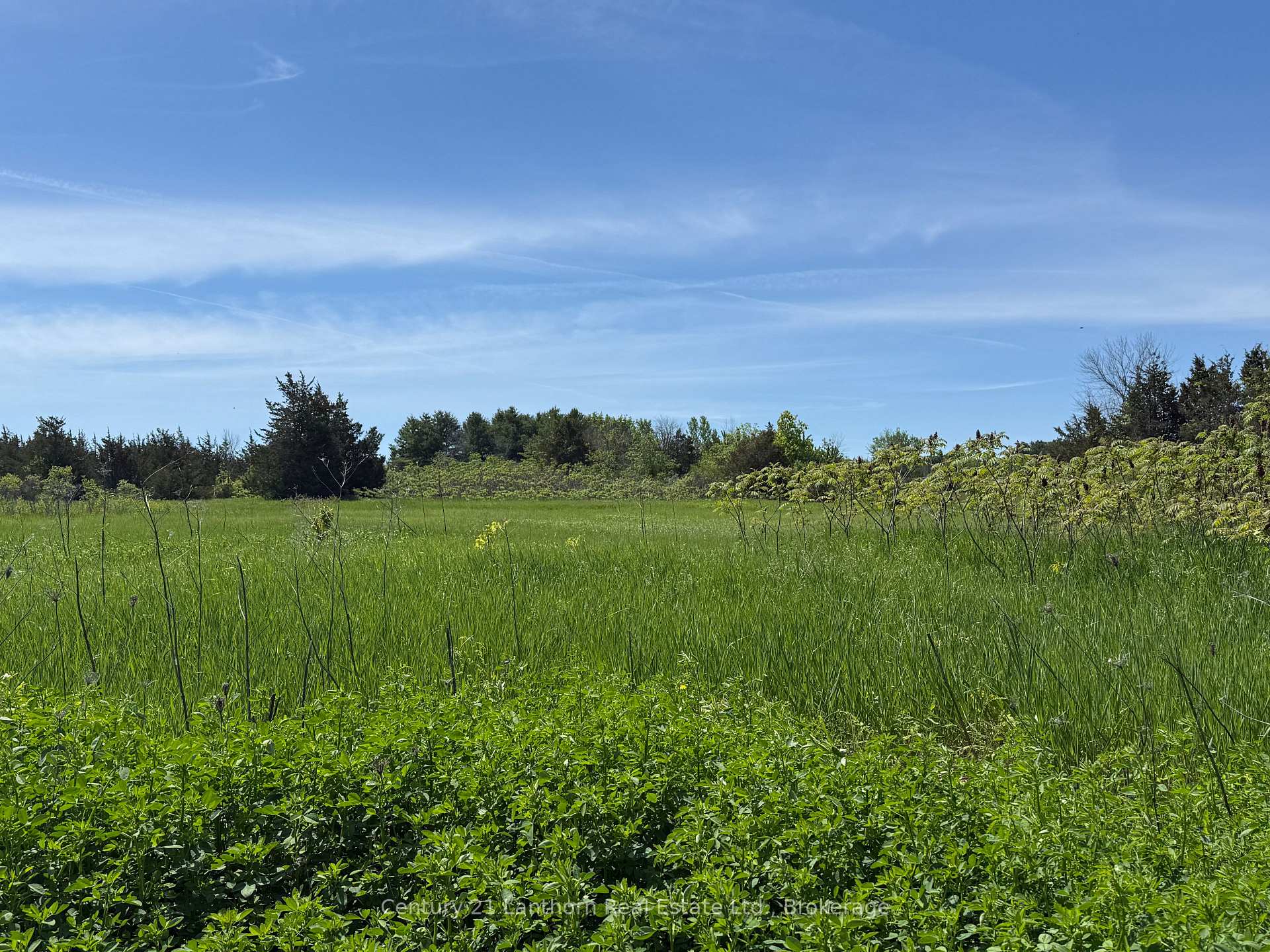 Lot 58 Prinyer's Cove Crescent, Prince Edward County, ON K0K 2T0 — Prince Edward County, Ontario