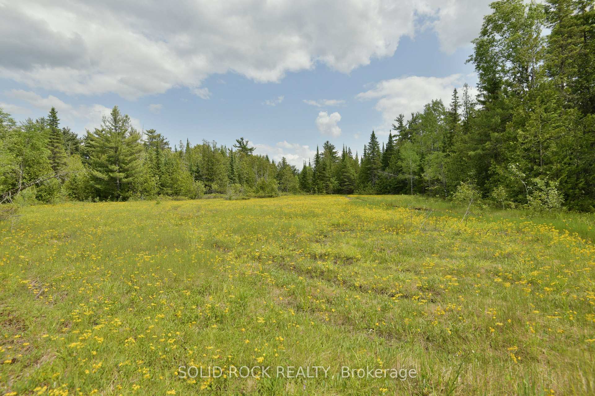 0 Mast Road, McNab/Braeside — photo 5 of 5