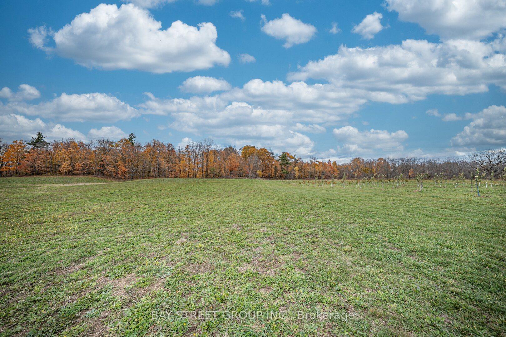 5255 Philp Road, Lincoln — photo 3 of 5