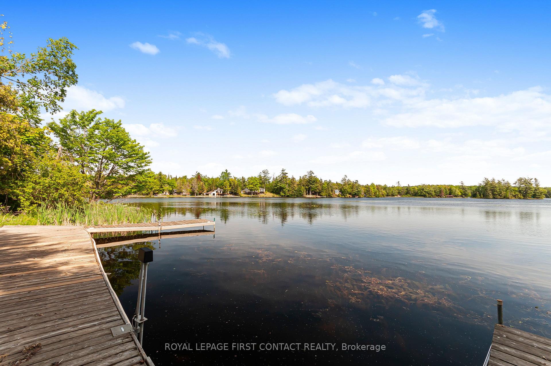 103 Peninsula Drive, Trent Lakes — photo 5 of 5