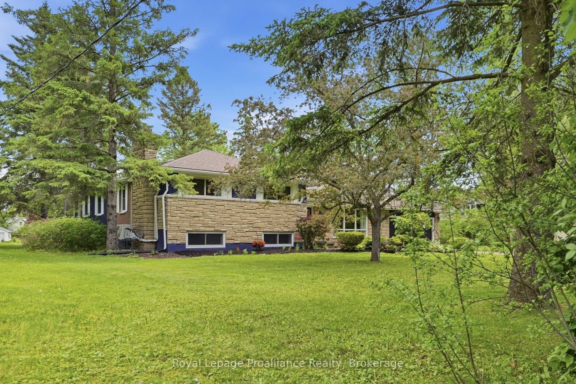 51 Selena Avenue, Belleville — photo 3 of 5