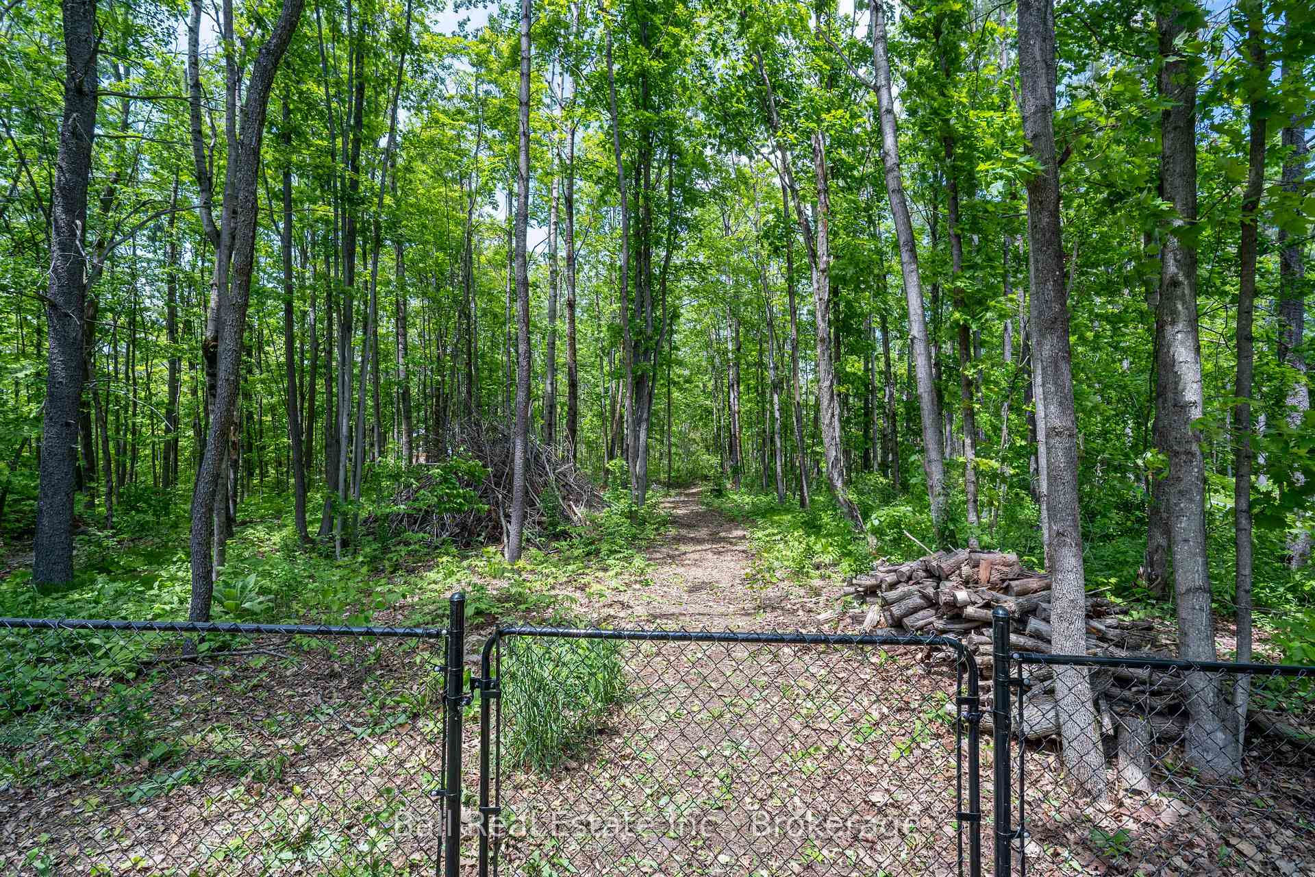 1741 Lakehurst Road, Trent Lakes — photo 4 of 5