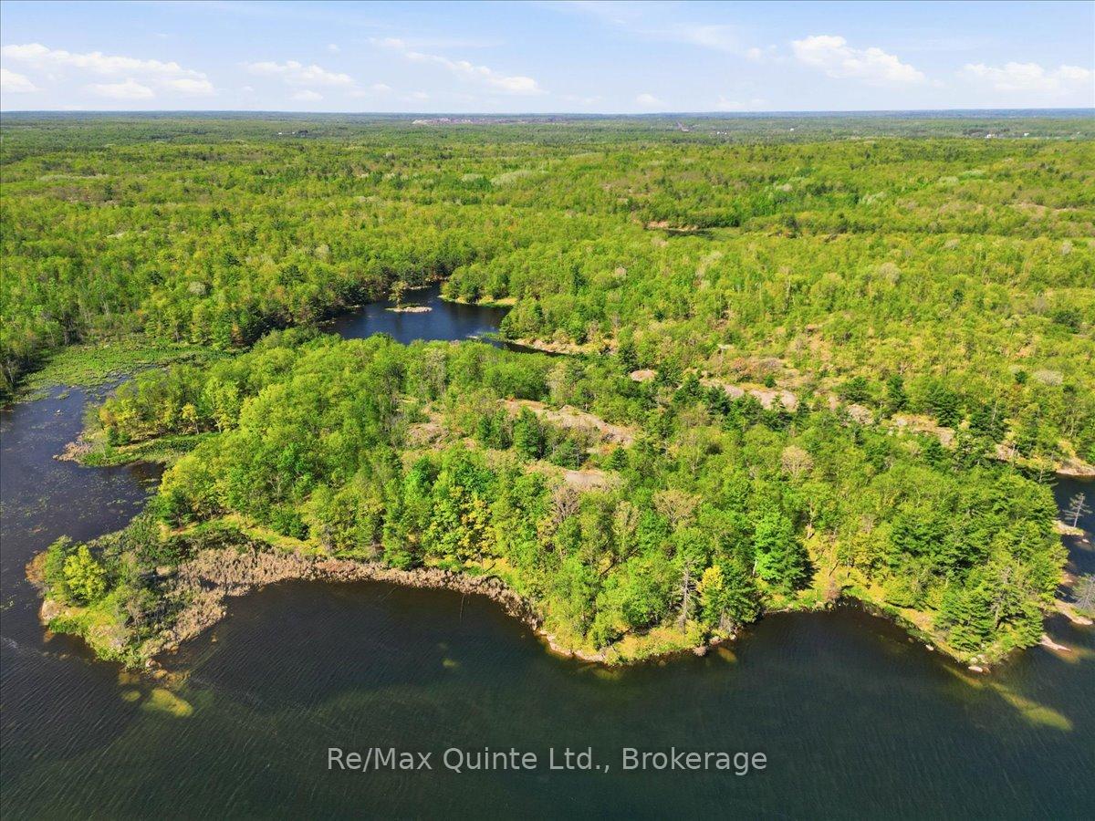 104577 Hwy 7 Highway, Marmora and Lake — photo 2 of 5