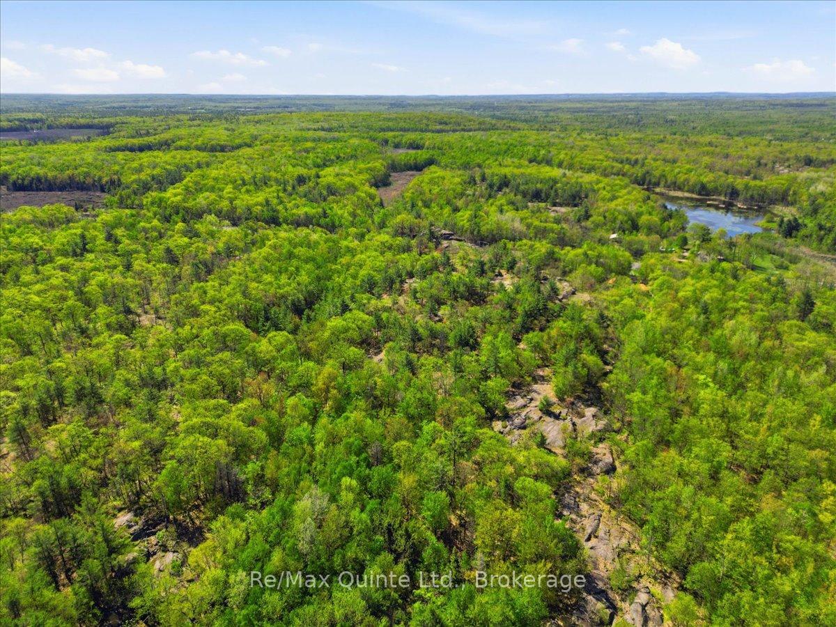 104577 Hwy 7 Highway, Marmora and Lake — photo 4 of 5